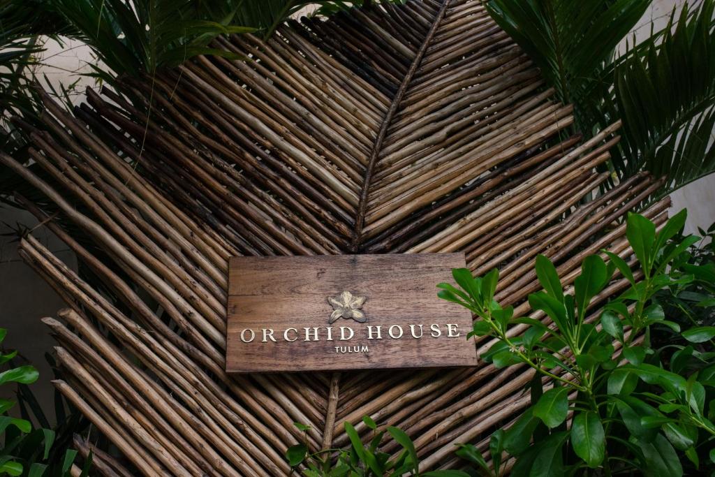 Orchid House Tulum Jungle