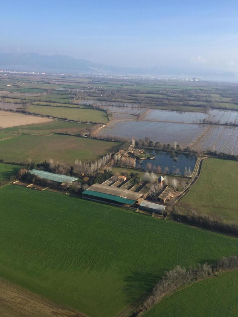 Yeguada Senillosa - Turisme Rural 6