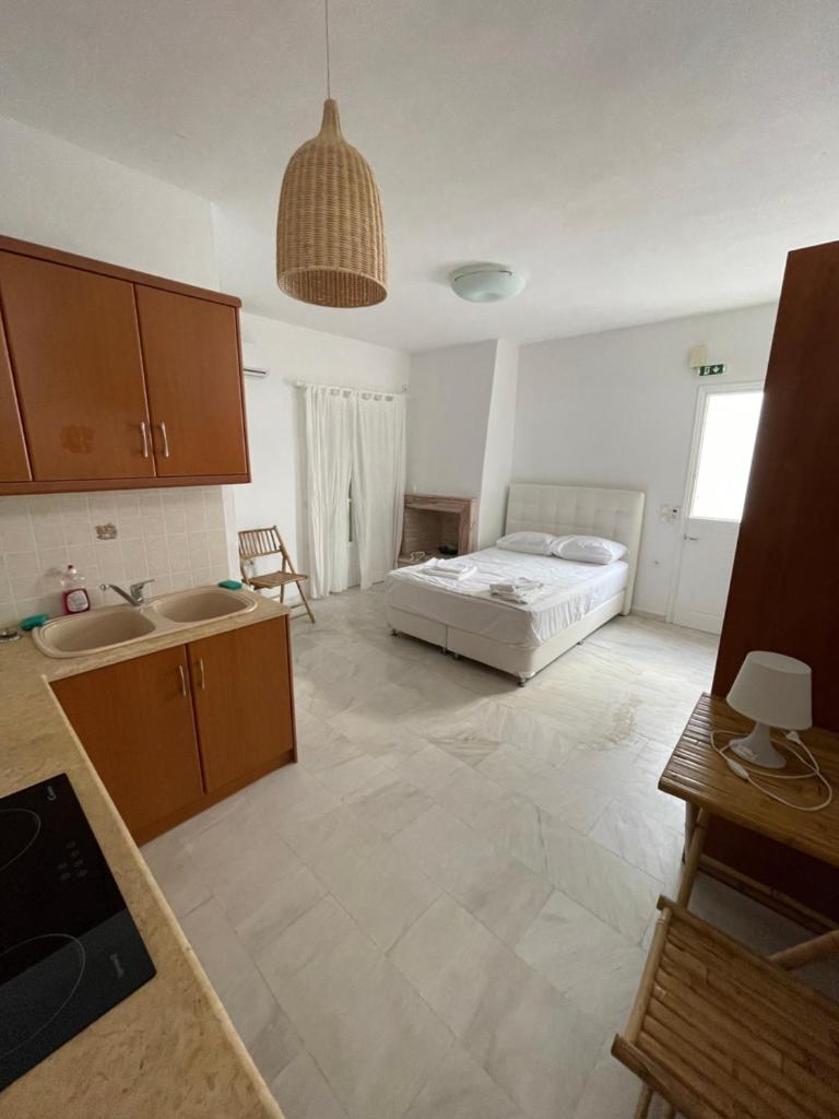 Amedi Villas Tinos 4