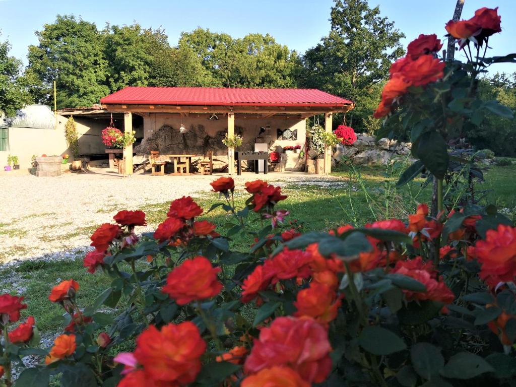 VILLA SALVIA - Holiday house with pool - 1