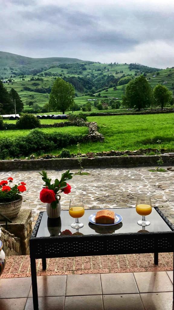 Casa Amalia - En el corazón verde de Cantabria!! 4
