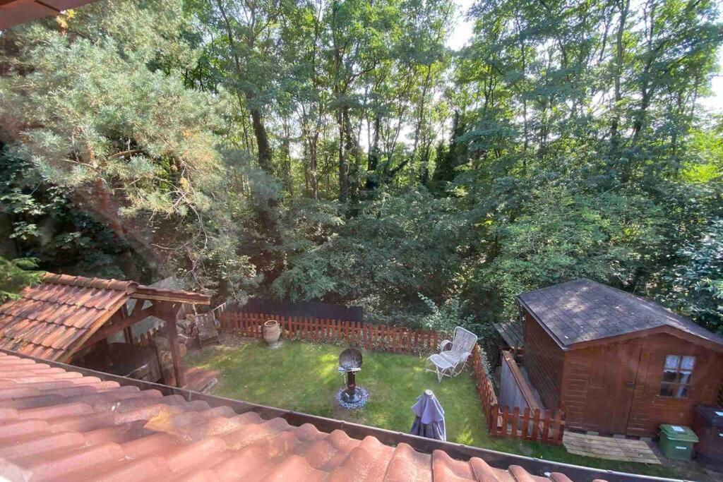 Charming house in the woods with private wellness 6