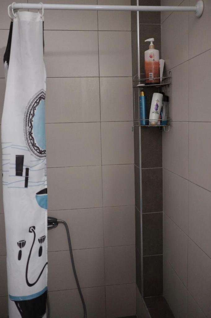 Irenes Apartment 3