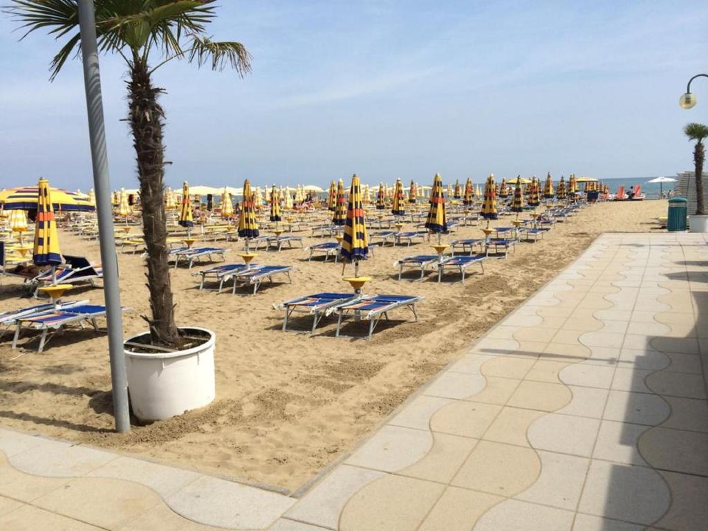 - une plage avec des chaises, des parasols et un palmier dans l'établissement Hotel & Residence Al Mare, à Lido di Jesolo
