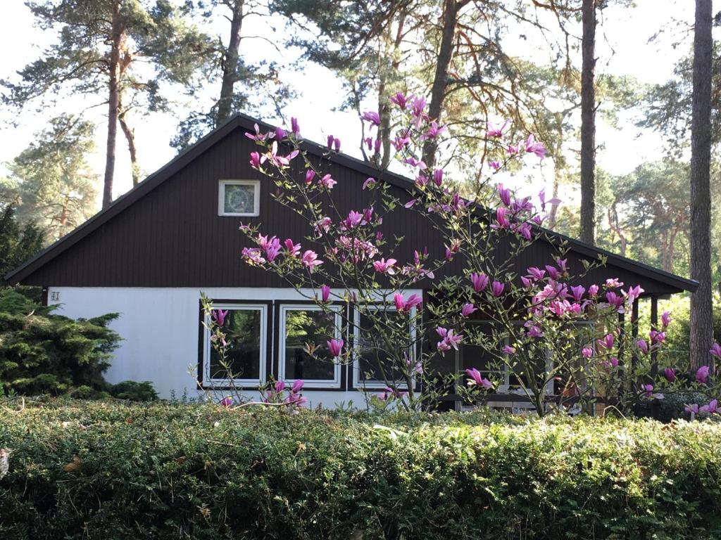 KOMPLETTES FERIENHAUS POTSDAM BERLIN GÄSTEHAUS IN SEENÄHE 95qm2 MONTEURZIMMER 6