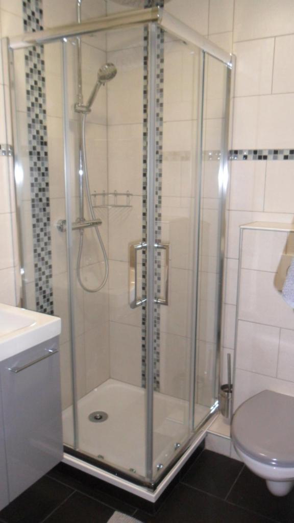 La salle de bains est pourvue d'une douche en verre et de toilettes. dans l'établissement Studio les 2 Aples, à Les Deux Alpes