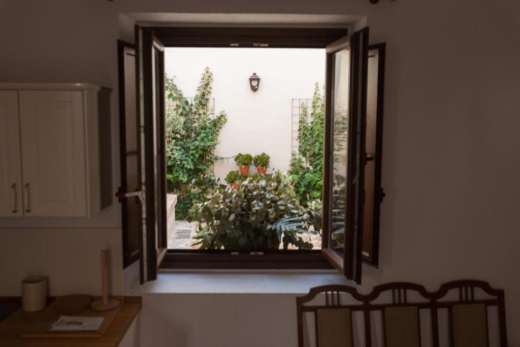 Patios de la Riva 7