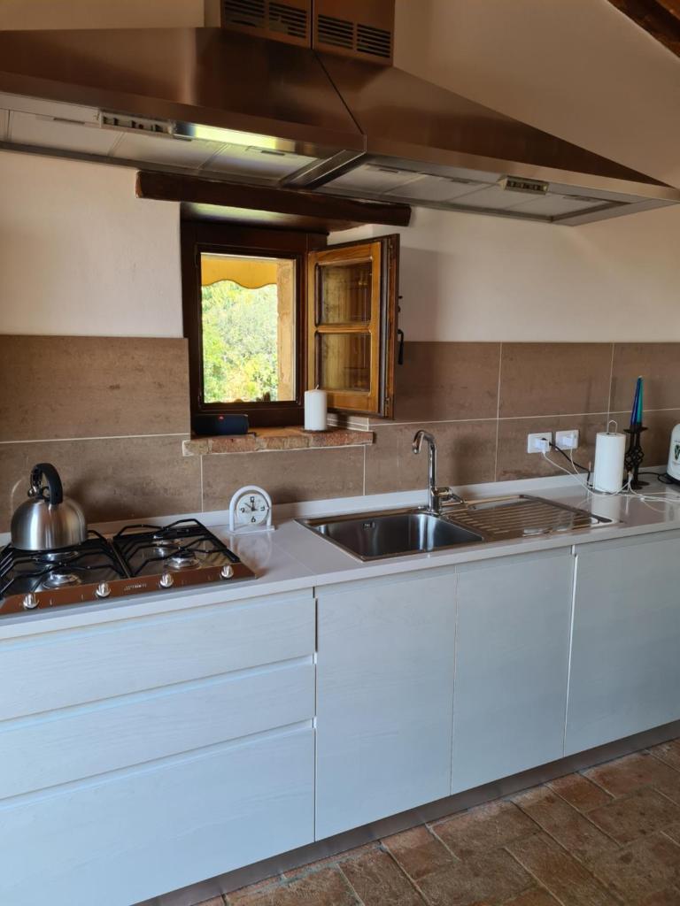 une cuisine avec un évier et un plan de travail dans l'établissement Villa Le Ginestre, à Cortone