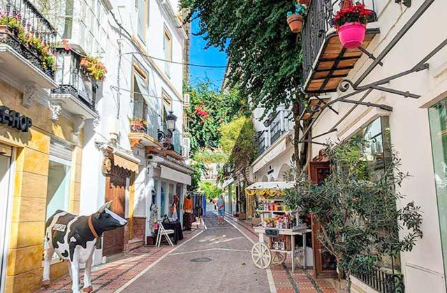 Cozy 2-bed 2-bathroom apartment in Marbella town centre