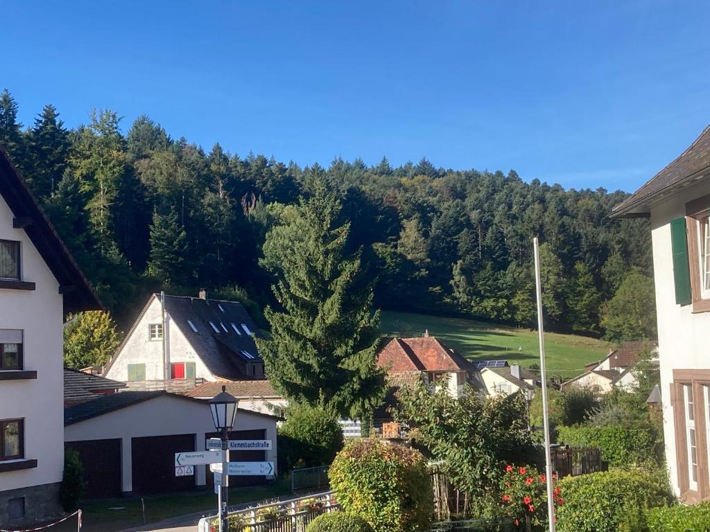 Ferienhaus "LE RUISSEAU" 6