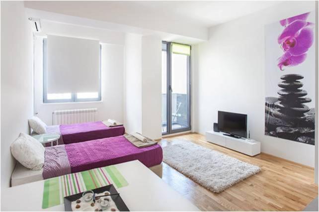 Modern Living Apartments 4