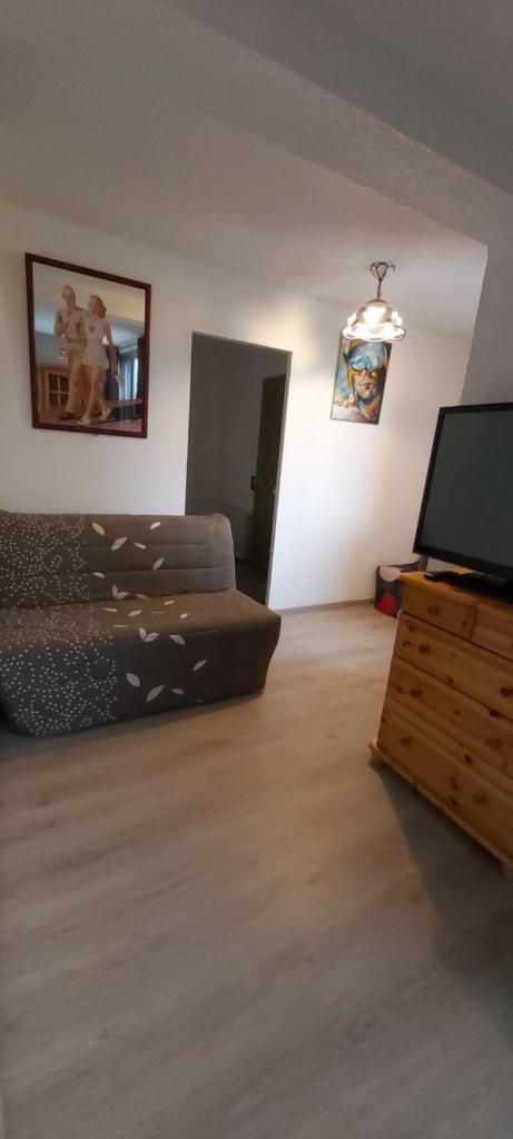 un salon avec un canapé et une télévision à écran plat dans l'établissement Idéal pour les vacances, à Selonnet