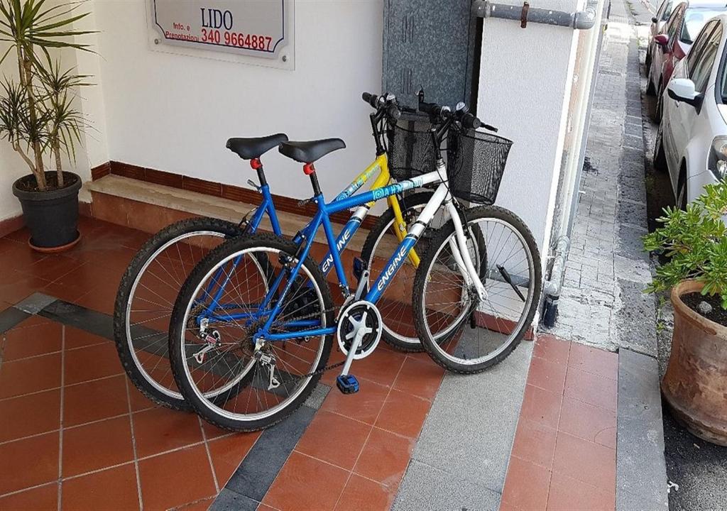 Deux vélos sont garés à côté d'un bâtiment dans l'établissement Ahm7nani, à Mascali