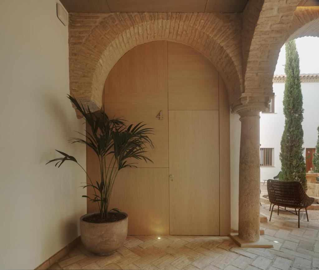 Apartamentos Los Patios del Pañuelo 7