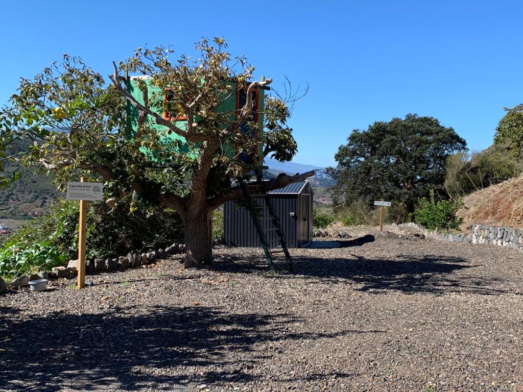 Finca el Roque 8