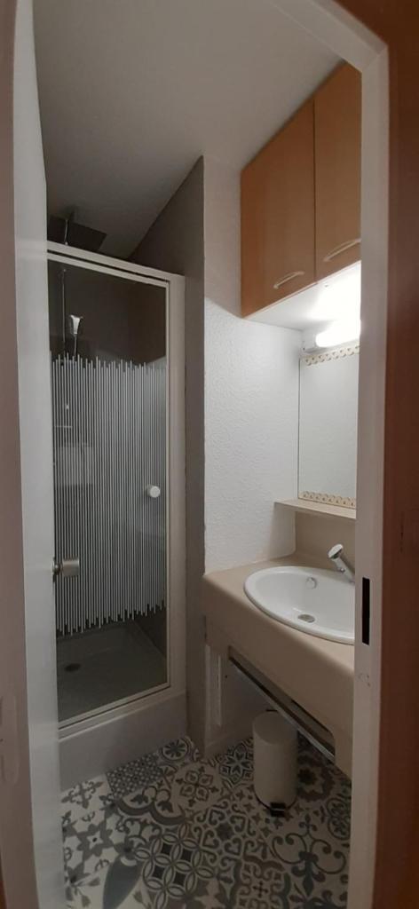 une petite salle de bain avec un lavabo et une douche dans l'établissement Au Coeur de Prémanon, à Prémanon