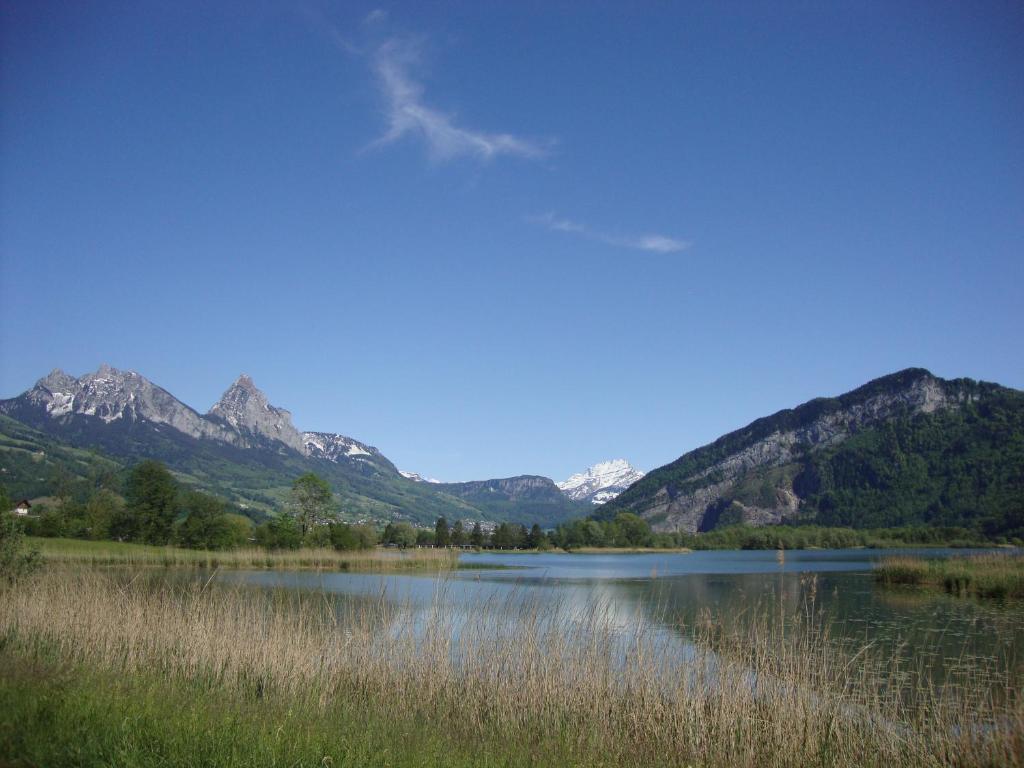 Hirschfarm, Goldau 8