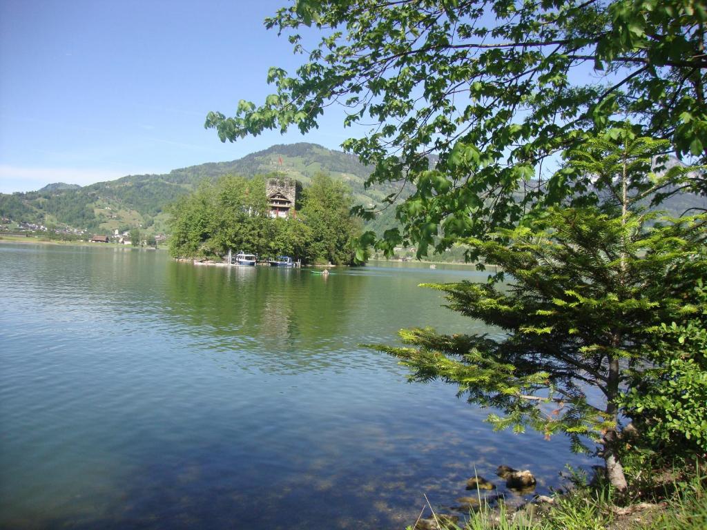 Hirschfarm, Goldau 5