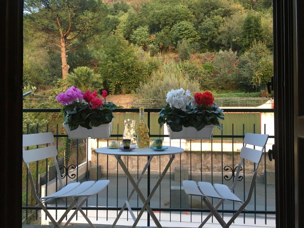 Contaldi House 4