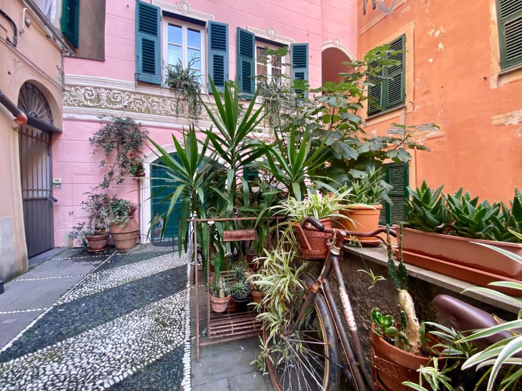 CasaViva-Trilo in Camogli at the sea with parking 5