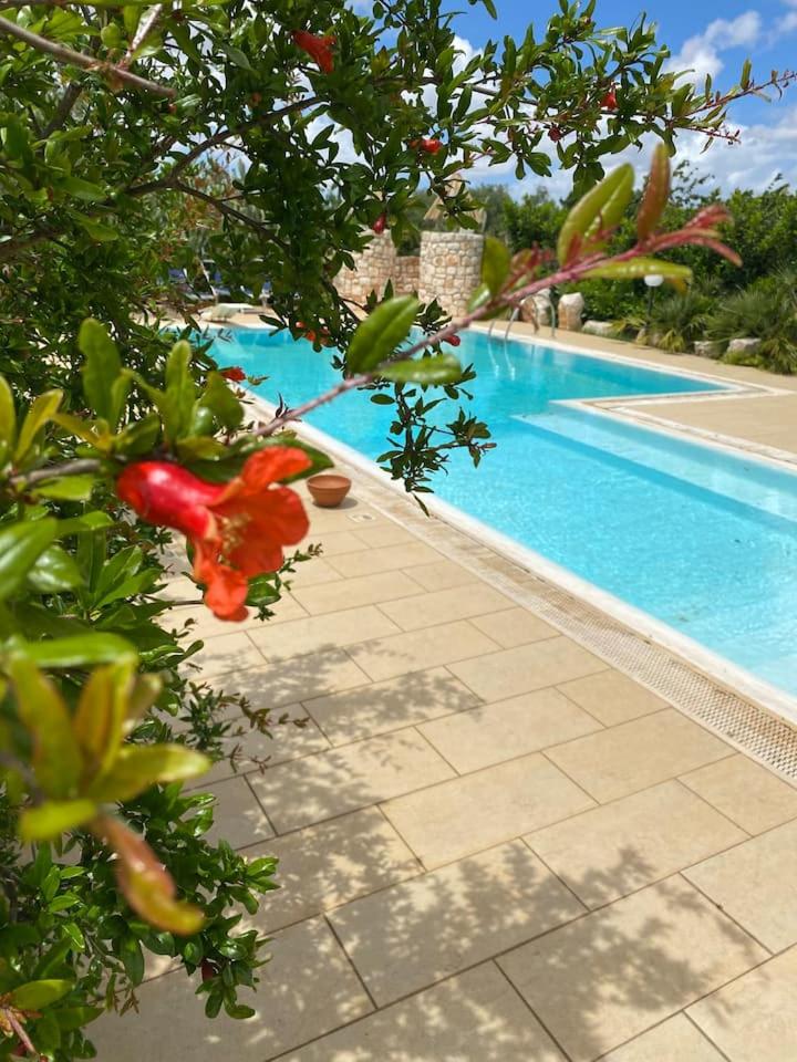 - une piscine bleue avec une fleur rouge à côté dans l'établissement Pugliaholidayplus - VILLA CASSANO, à Polignano a Mare
