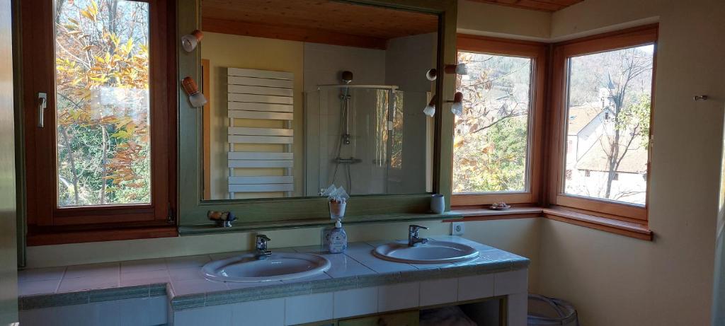 La Canopée Alsacienne - Magnifique maison à Ribeauvillé 3