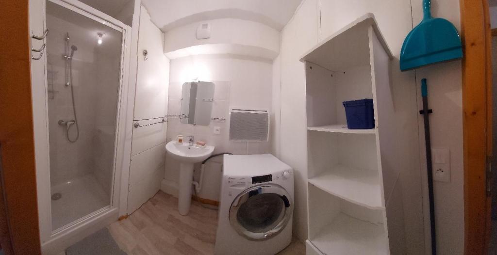 une salle de bain avec une machine à laver et un lavabo dans l'établissement Le Rhodo, à Thollon-les-Mémises