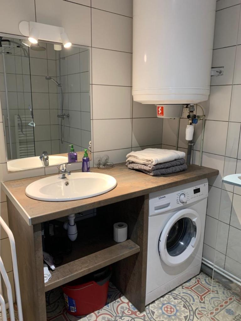une salle de bain avec un lavabo et une machine à laver dans l'établissement Chalet Élise Plein centre ville, à Gérardmer 8 autres photos