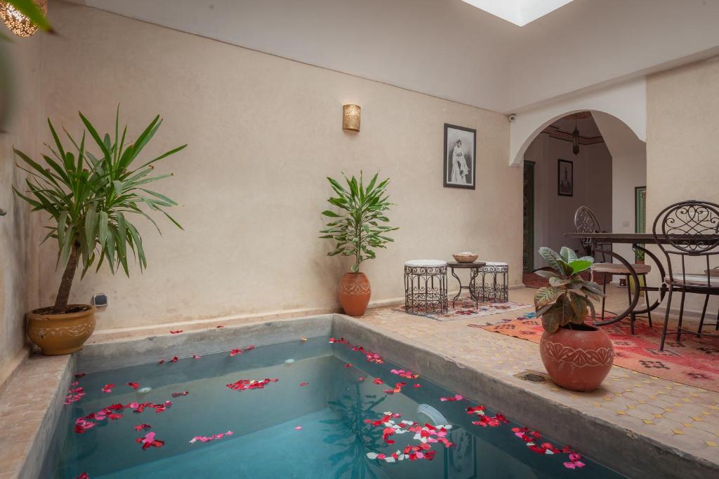 - une piscine dans un salon avec des plantes en pot dans l'établissement Dar Halima, à Marrakech