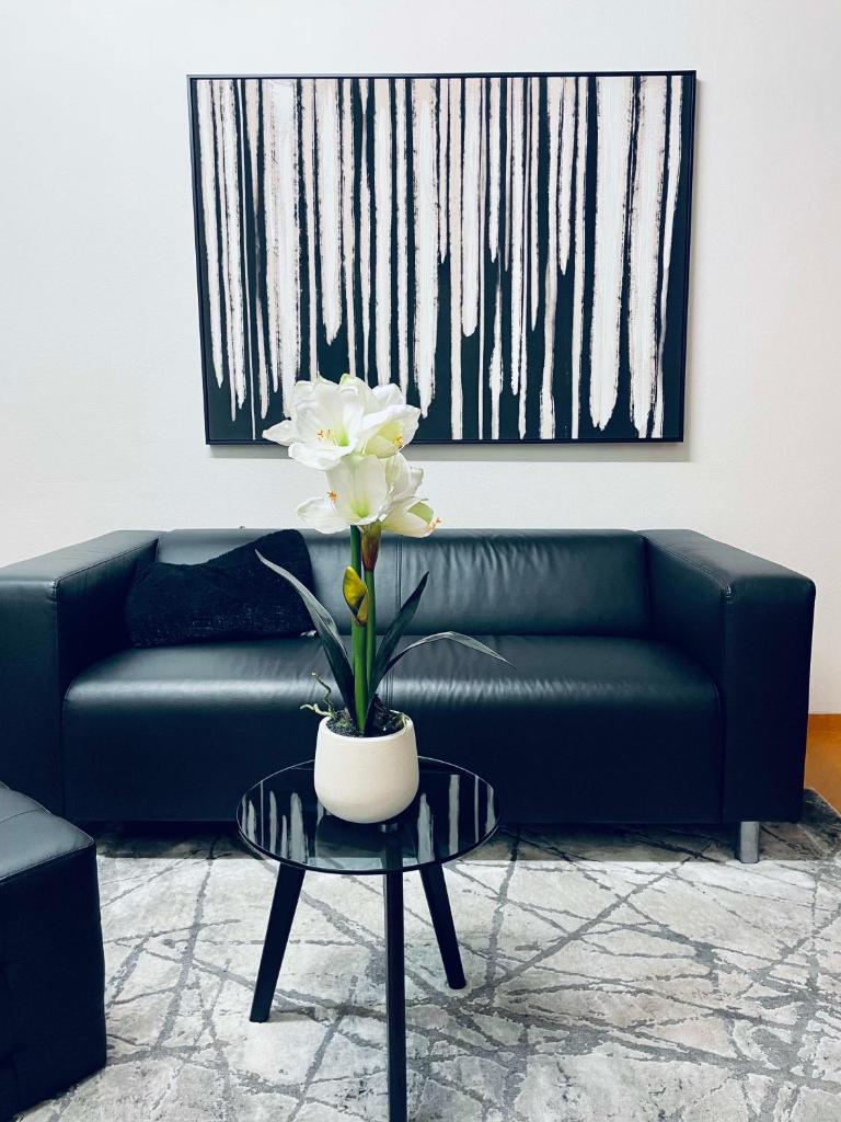 Campea Business Apartments 5