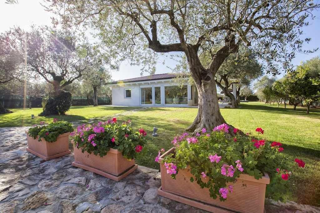 trois pots de fleurs avec des fleurs devant une maison dans l'établissement Alghero Villa Nuit Blanche con piscina Air Co WiFi vicino spiaggia, à Alghero