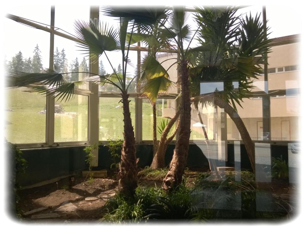 Photo de la galerie de l'établissement La Serre - Centre du village - Départ des pistes de fond et Skibus à 50m, à Prémanon