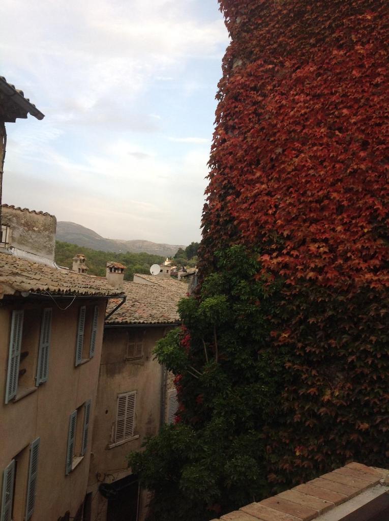 Maison pittorresque St Paul de Vence 3