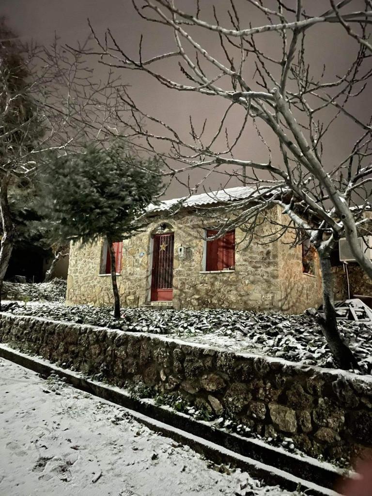 ΦΙΛΥΡΑ ΠΕΤΡΙΝΟ 6