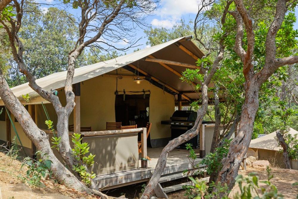 une maison avec une terrasse couverte au milieu des arbres dans l'établissement Camping Le Damier, à Pianottoli-Caldarello