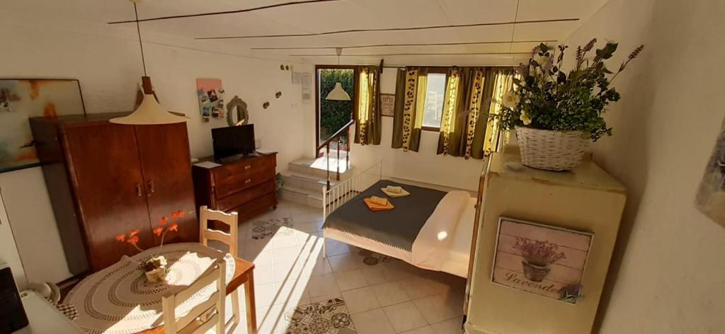 Studio Apartments Fancy 4