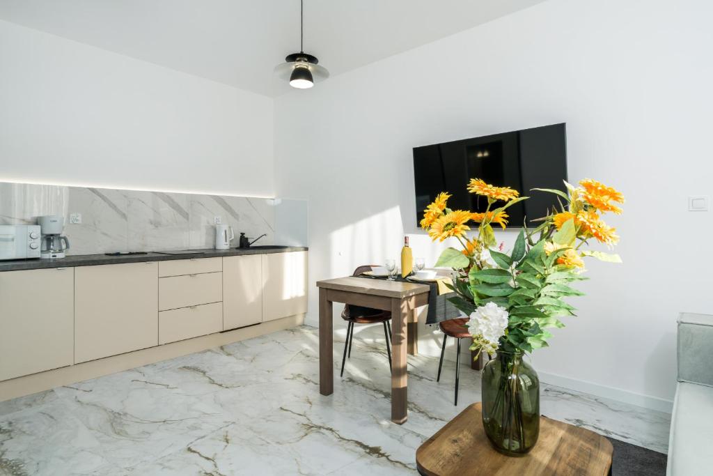 Apartments Poznań Chwaliszewo Residence with FREE GARAGE by Noclegi Renters 4