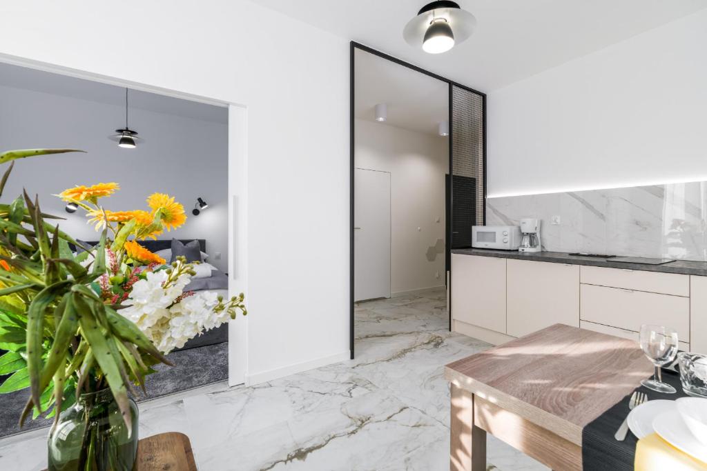 Apartments Poznań Chwaliszewo Residence with FREE GARAGE by Noclegi Renters 8