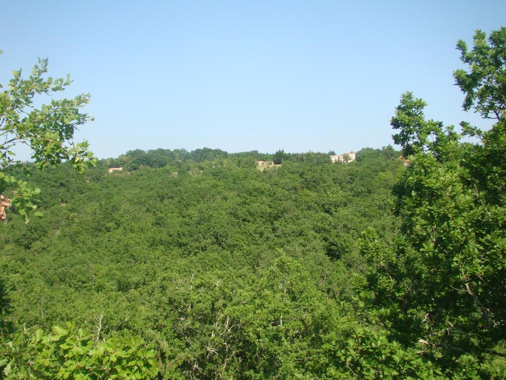 une colline avec des arbres et des maisons au loin dans l'établissement CAMPING LES GRAVES - Cabane TITHOME, à Saint-Pierre-Lafeuille