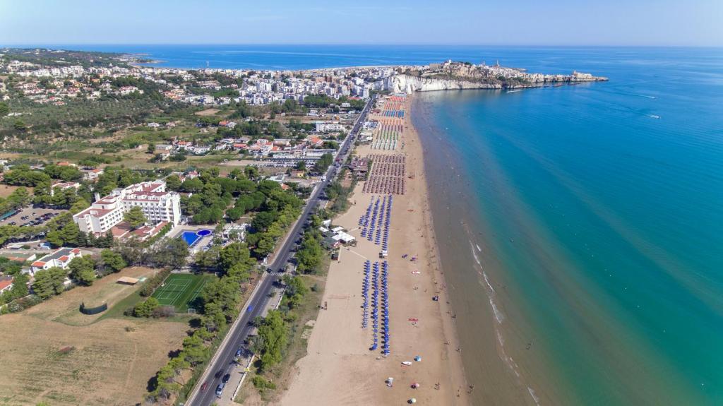 une vue aérienne d'une plage et de l'océan dans l'établissement Pizzomunno Vieste Palace Hotel, à Vieste
