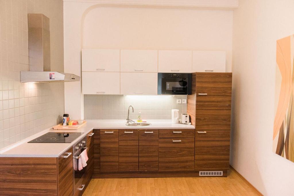 Lion Apartments in historical center, Bratislava Old Town 3