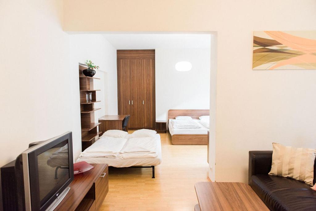 Lion Apartments in historical center, Bratislava Old Town 5