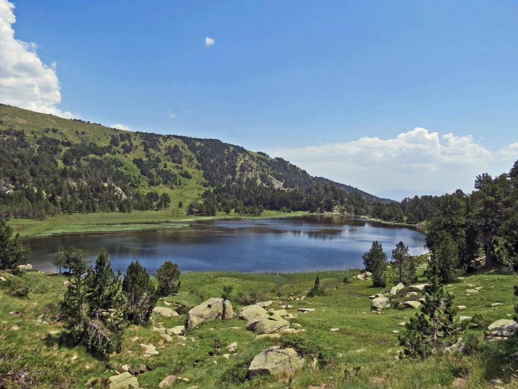 un grand lac au milieu d'un champ herbeux dans l'établissement Panoramic Les Angles, aux Angles