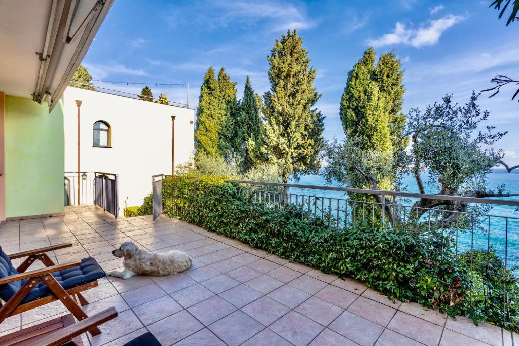 un chien dormant sur la terrasse d'une maison dans l'établissement Baba Residences, à Alassio