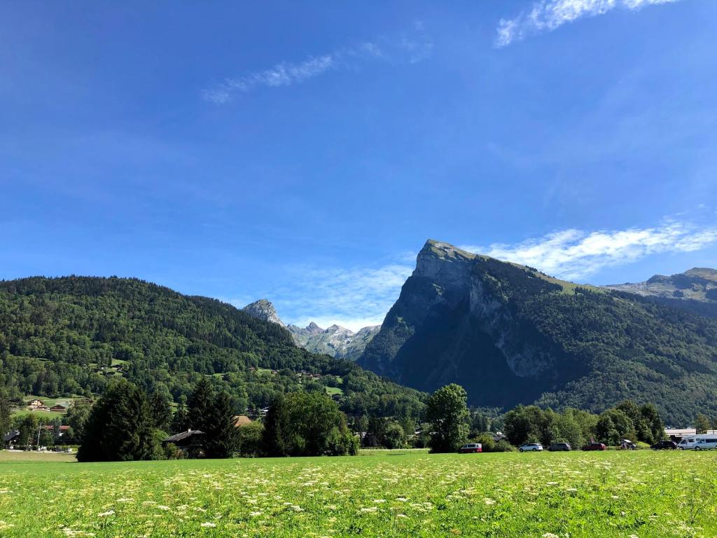 un champ vert avec une montagne en arrière-plan dans l'établissement Appartement en hyper centre de Samoëns, à Samoëns 16 autres photos