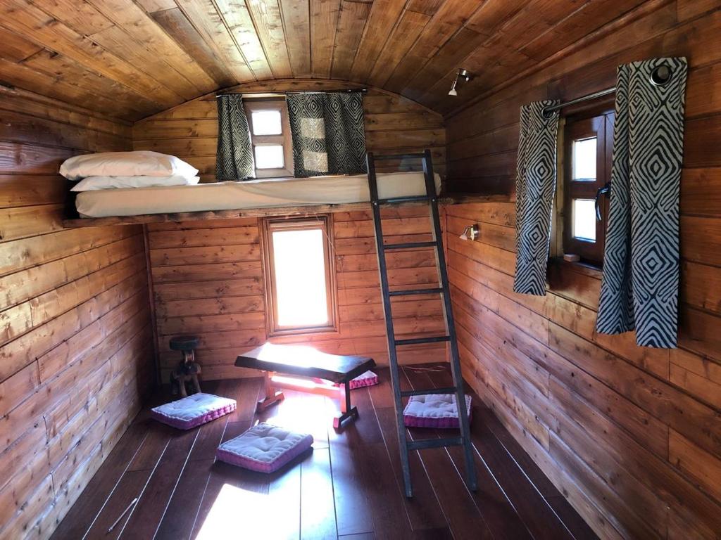 - une chambre avec des lits superposés et une échelle dans une cabine dans l'établissement Les roulottes de cirque Les Settons, à Moux-en-Morvan