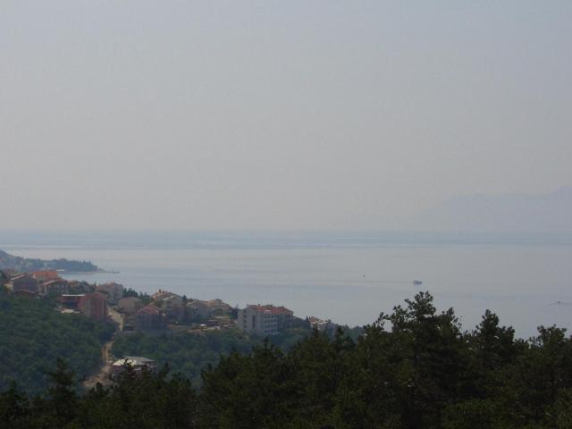 Kuca Orhidea 6
