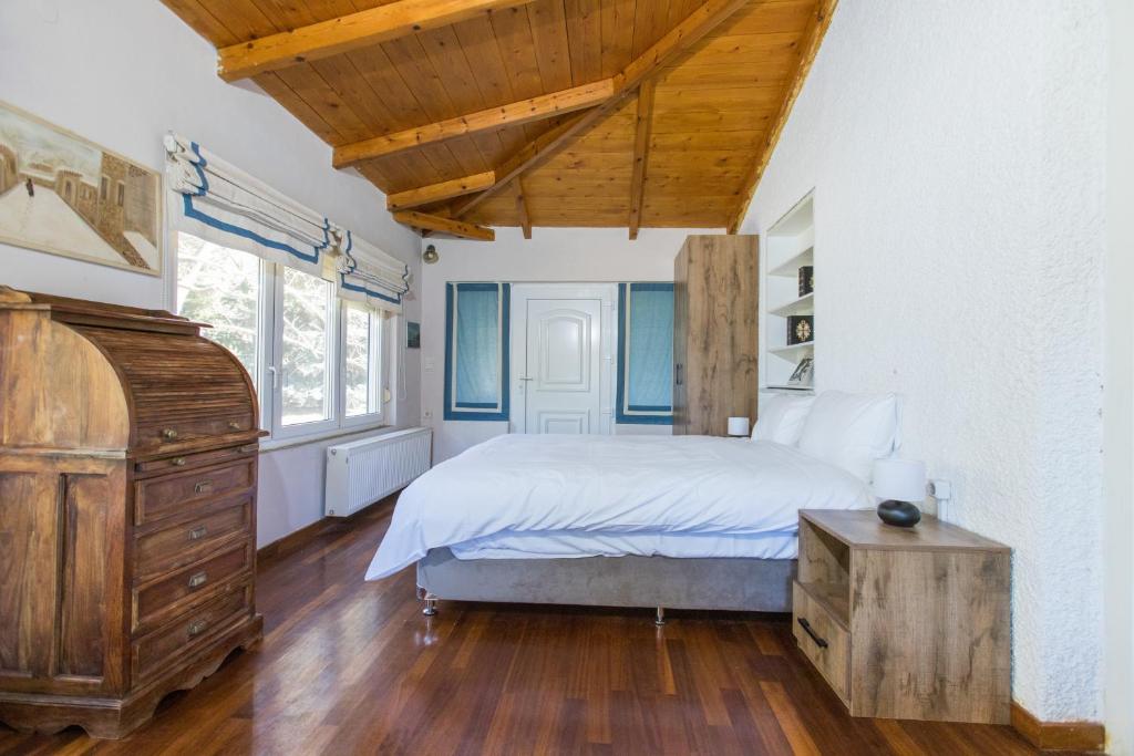 Raise Polydrosos Mountain stay 7