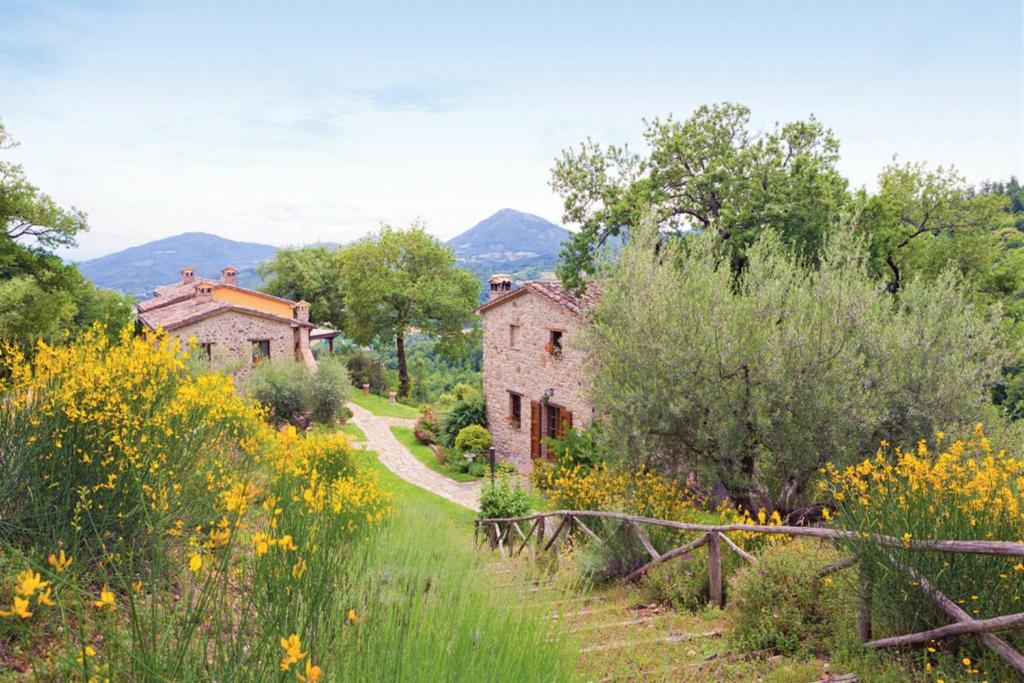 une vieille maison dans un champ de fleurs dans l'établissement Villa Montecastelli by Mmega, à Niccone