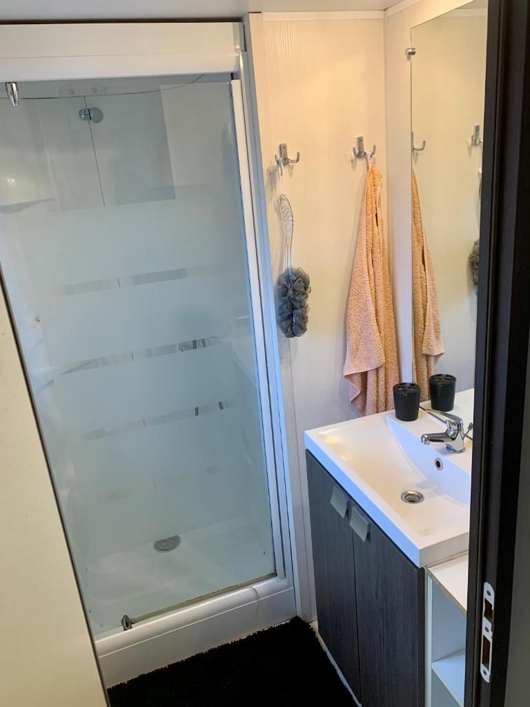 une salle de bain avec douche et lavabo dans l'établissement Mobil Home 6 personnes, à Saint-Chéron